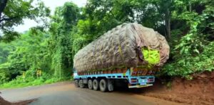 Overloading Trucks India